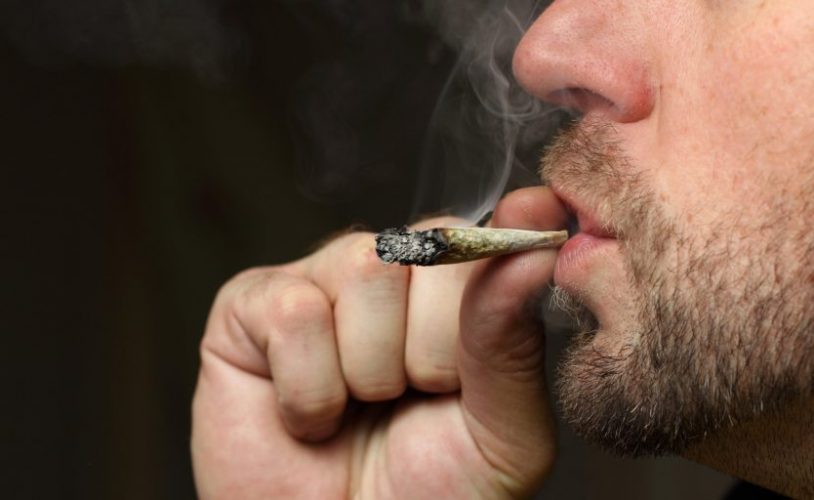 The Marijuana Craze: Is It A Drug, A Medicine Or Just A Legal Problem?
